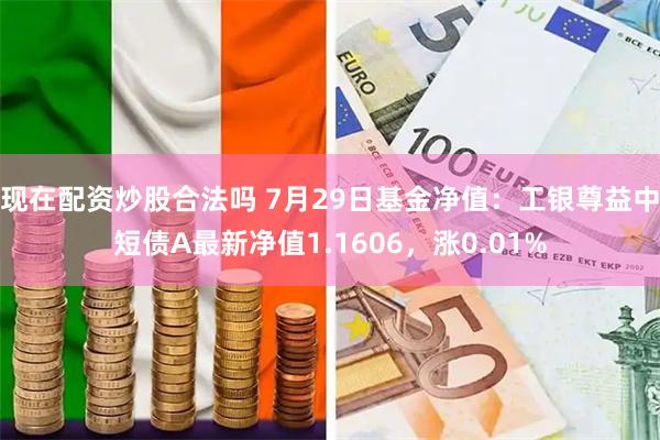 现在配资炒股合法吗 7月29日基金净值:工银尊益中短债A最新净值1.1606,涨0.01%