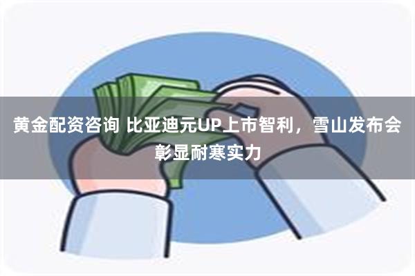 黄金配资咨询 比亚迪元UP上市智利,雪山发布会彰显耐寒实力