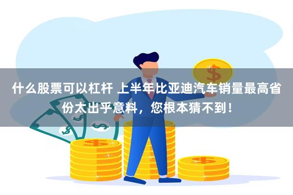 什么股票可以杠杆 上半年比亚迪汽车销量最高省份太出乎意料,您根本猜不到!