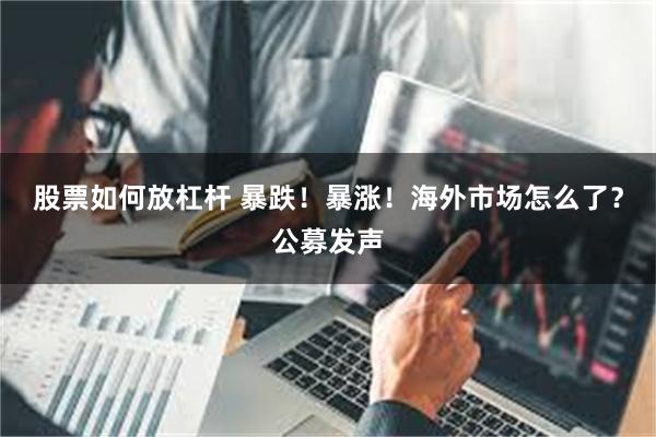 股票如何放杠杆 暴跌!暴涨!海外市场怎么了?公募发声