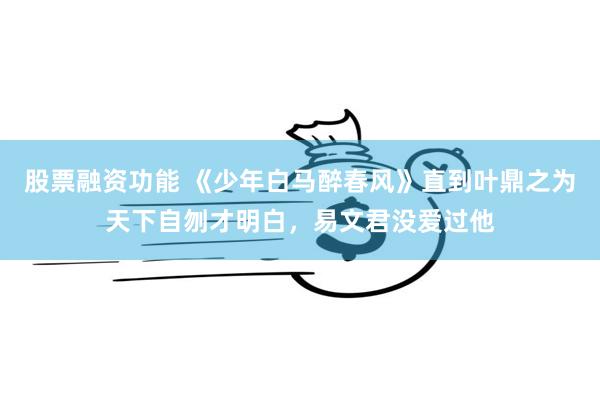 股票融资功能 《少年白马醉春风》直到叶鼎之为天下自刎才明白,易文君没爱过他