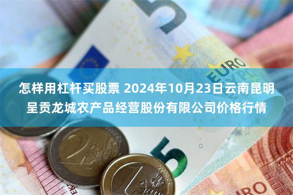 怎样用杠杆买股票 2024年10月23日云南昆明呈贡龙城农产品经营股份有限公司价格行情