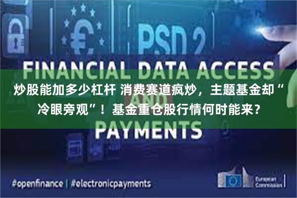 炒股能加多少杠杆 消费赛道疯炒，主题基金却“冷眼旁观”！基金重仓股行情何时能来？