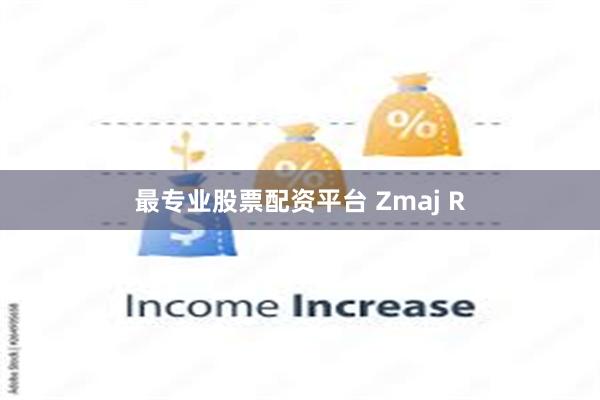 最专业股票配资平台 Zmaj R