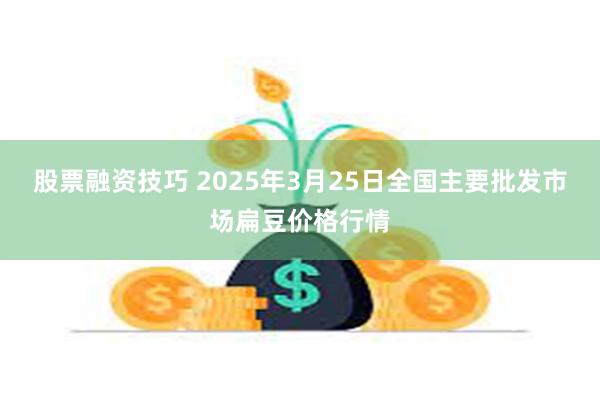 股票融资技巧 2025年3月25日全国主要批发市场扁豆价格行情