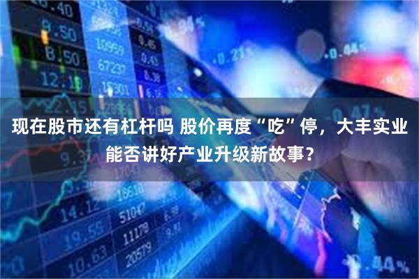 现在股市还有杠杆吗 股价再度“吃”停，大丰实业能否讲好产业升级新故事？