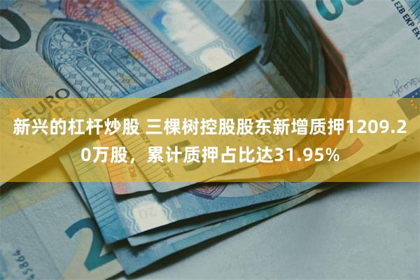 新兴的杠杆炒股 三棵树控股股东新增质押1209.20万股，累计质押占比达31.95%