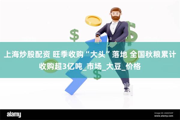 上海炒股配资 旺季收购“大头”落地 全国秋粮累计收购超3亿吨_市场_大豆_价格