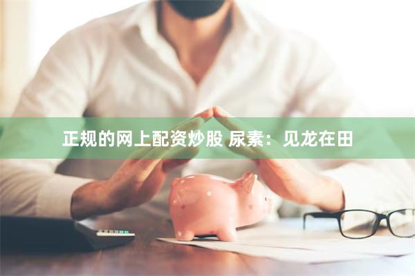 正规的网上配资炒股 尿素：见龙在田