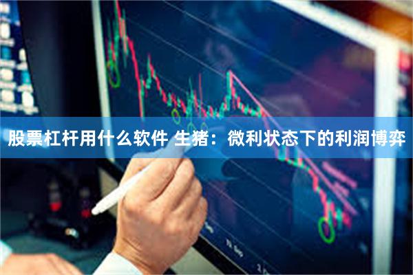 股票杠杆用什么软件 生猪：微利状态下的利润博弈