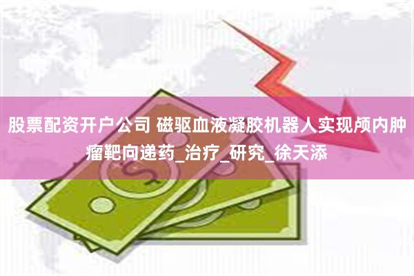 股票配资开户公司 磁驱血液凝胶机器人实现颅内肿瘤靶向递药_治疗_研究_徐天添