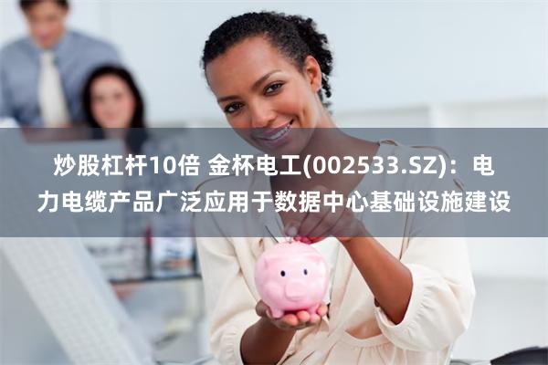 炒股杠杆10倍 金杯电工(002533.SZ)：电力电缆产品广泛应用于数据中心基础设施建设