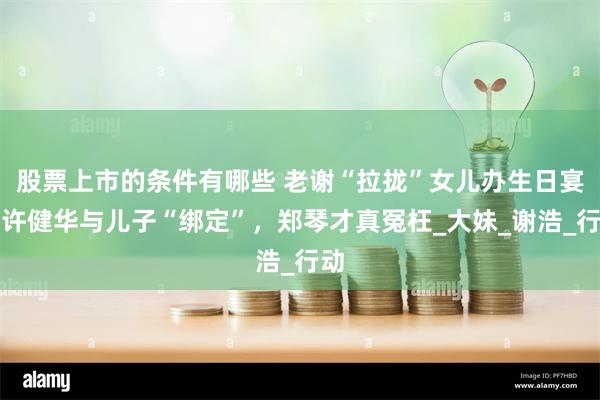 股票上市的条件有哪些 老谢“拉拢”女儿办生日宴，许健华与儿子“绑定”，郑琴才真冤枉_大妹_谢浩_行动