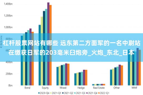 杠杆股票网站有哪些 远东第二方面军的一名中尉站在缴获日军的203毫米臼炮旁_火炮_东北_日本