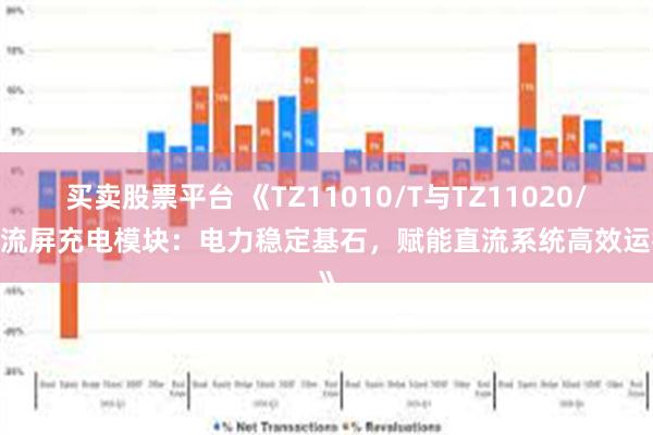 买卖股票平台 《TZ11010/T与TZ11020/T直流屏充电模块：电力稳定基石，赋能直流系统高效运行》