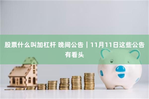 股票什么叫加杠杆 晚间公告｜11月11日这些公告有看头